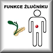Funkce žlučníku