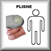 Plísně