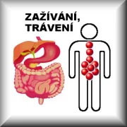 Zažívání, trávení