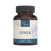 Zinek