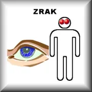 Zrak