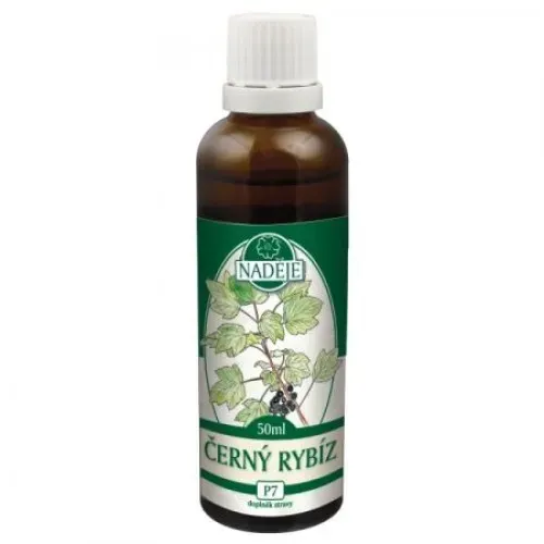 Černý rybíz - tinktura z pupenů 50 ml (P7)