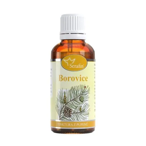 Borovice – tinktura z pupenů 50 ml