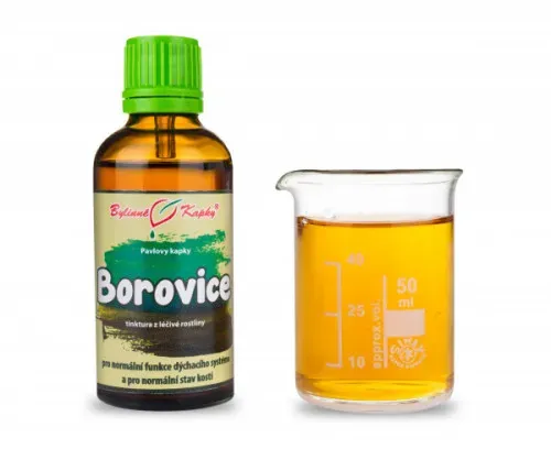 Borovice výhonky - bylinné kapky (tinktura) 50 ml