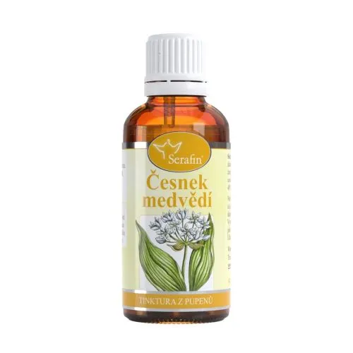 Česnek medvědí – tinktura z pupenů 50 ml