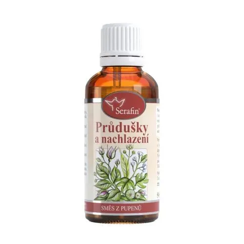 Průdušky a nachlazení - směs z pupenů 50 ml