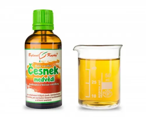 Česnek medvědí - Bylinné kapky (tinktura) Duše rostlin 50 ml