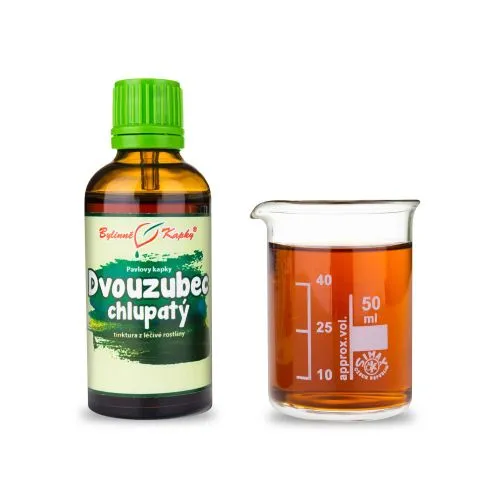 Dvouzubec chlupatý (pilový) - Pavlovy bylinné kapky (tinktura) 50 ml