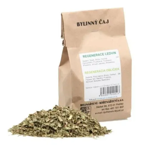 Regenerace ledvin 100 g