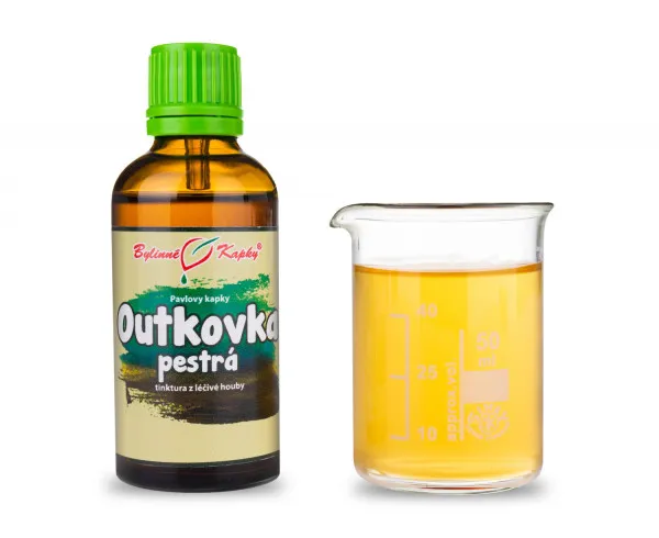 Outkovka pestrá (Coriolus) - bylinné kapky (tinktura) 50 ml