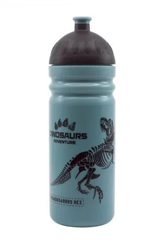 Zdravá lahev 0,7 l T-REX