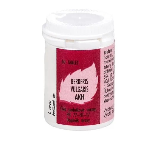 BERBERIS VULGARIS AKH 60 tbl.